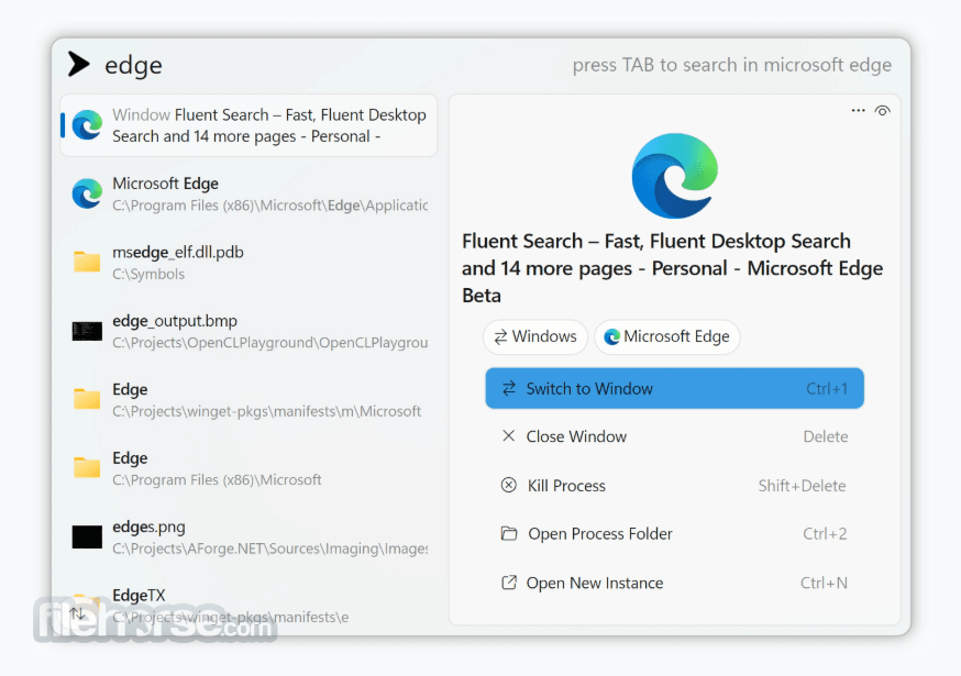 Fluent Search Screenshot 1
