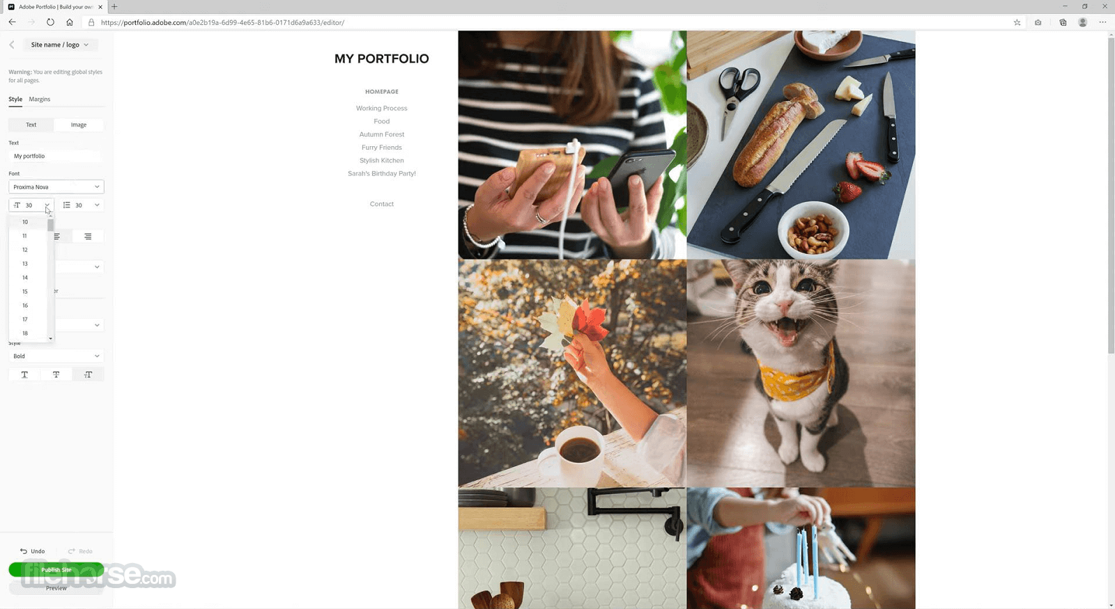 Adobe Portfolio Screenshot 3