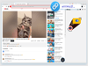 CleverGet 22.0 Screenshot 1