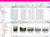 Directory Opus 13.24 Screenshot 1