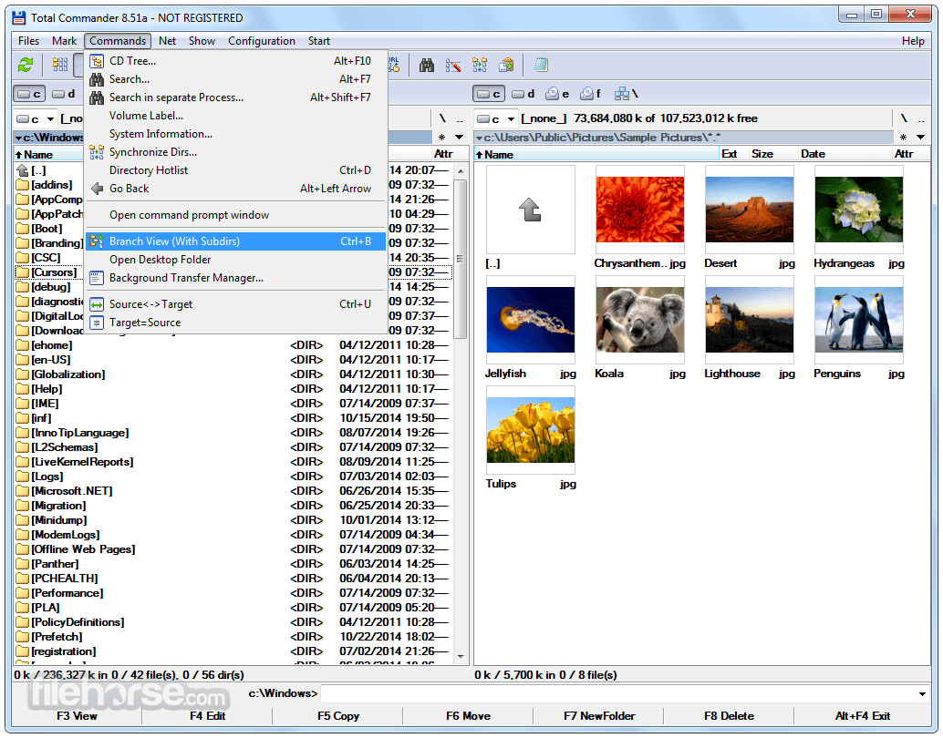 Total Commander 11.58 (64-bit) Screenshot 3