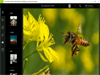Adobe Photoshop Express 3.17.0.0 Screenshot 2