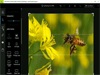 Adobe Photoshop Express 3.17.0.0 Screenshot 3