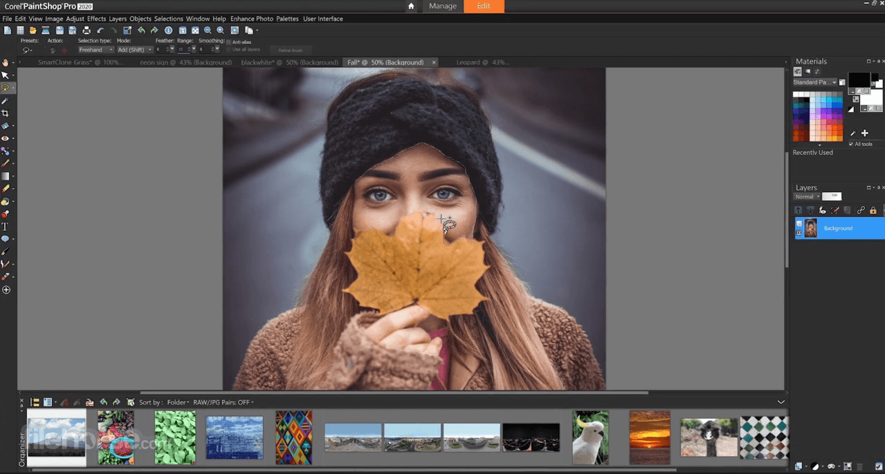 Corel PaintShop Pro Screenshot 2