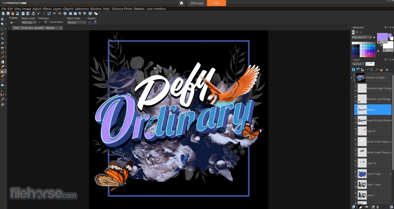 Corel PaintShop Pro Screenshot 3