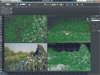 Itoo Forest Pack 9 Screenshot 4