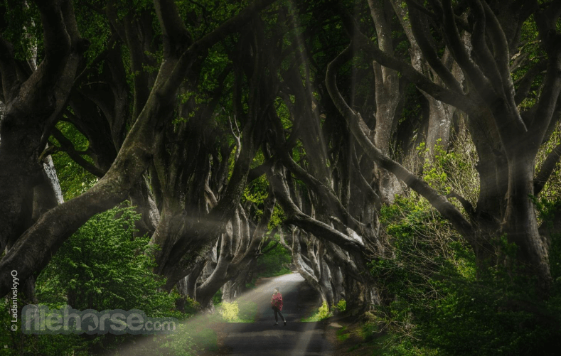 Luminar Neo Screenshot 5