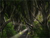 Luminar Neo - Easy Photo Editor Screenshot 5