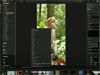 ON1 Photo RAW 2026.5 Screenshot 4