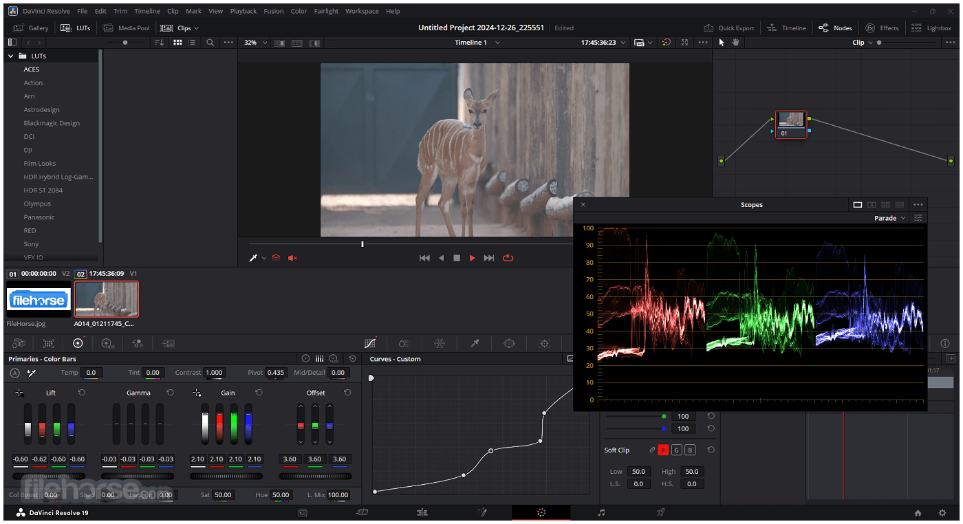 DaVinci Resolve Screenshot 3