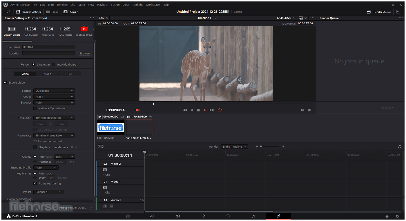 DaVinci Resolve 21.0.4 Screenshot 5