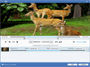 Tipard Video Enhancer 9.2.52 Screenshot 4